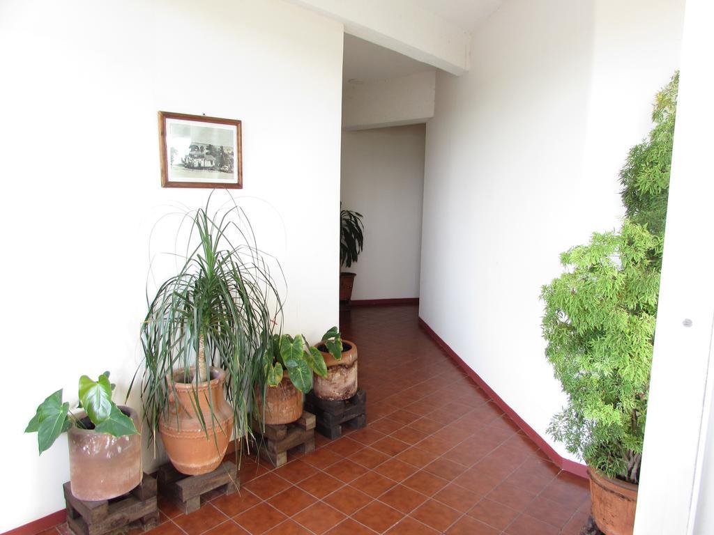 Hotel Puerto Piedra Puerto Escondido  Extérieur photo