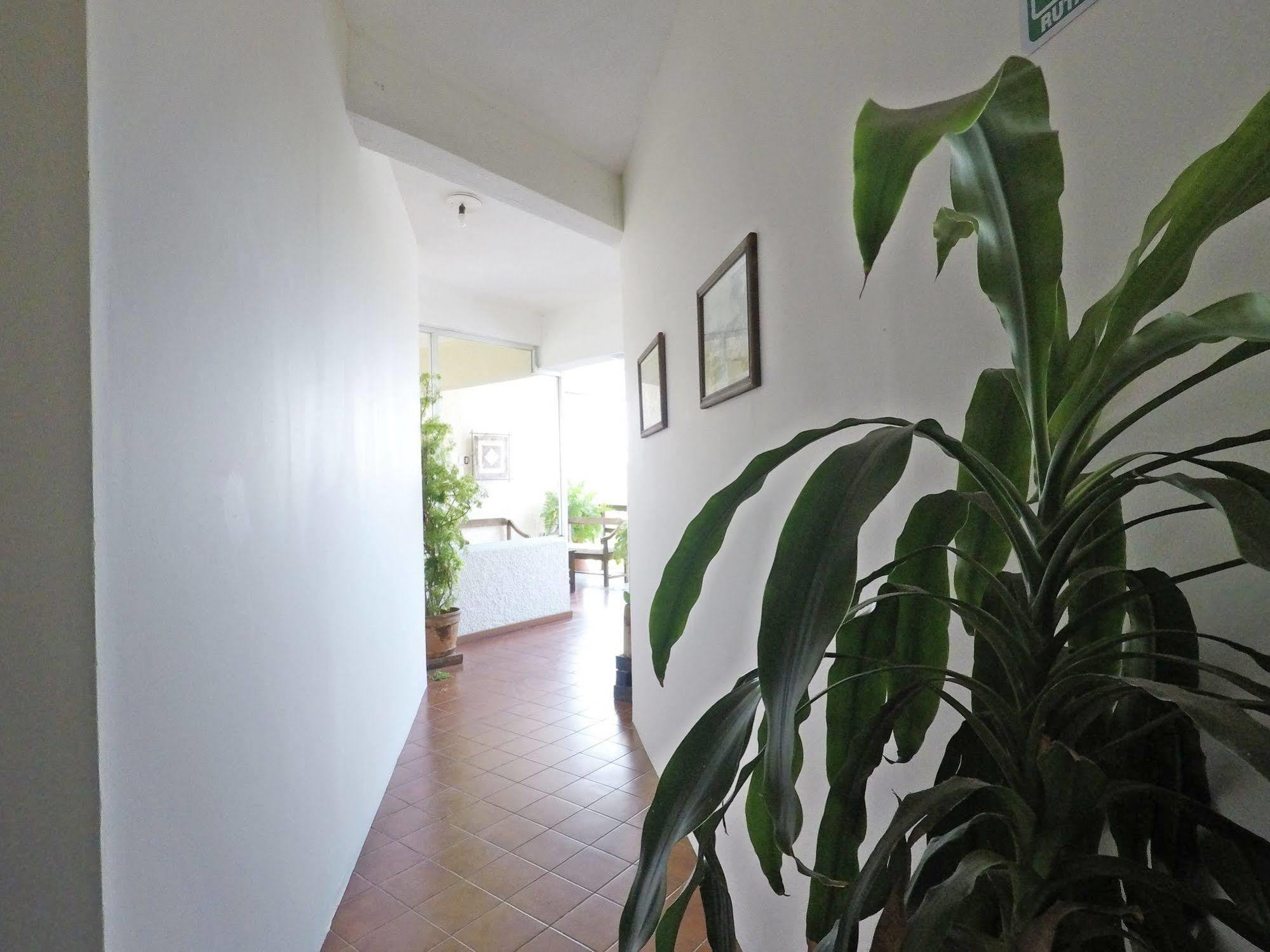 Hotel Puerto Piedra Puerto Escondido  Extérieur photo